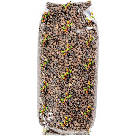 VIDELYS Lentilles vertes
