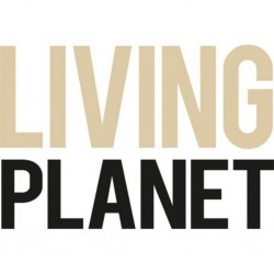 Ludically Living Planet