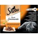 SHEBA SCE GOURMAND 12X85G BARQ