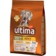 ULTIMA MED ADULT POULET 2KG 3700260233749