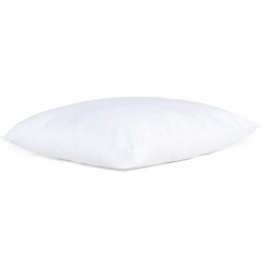 Rêve De Nuit Reve De Nuit Oreiller Douceur 60x60 Reve de Nuit 550g (lot de 2)