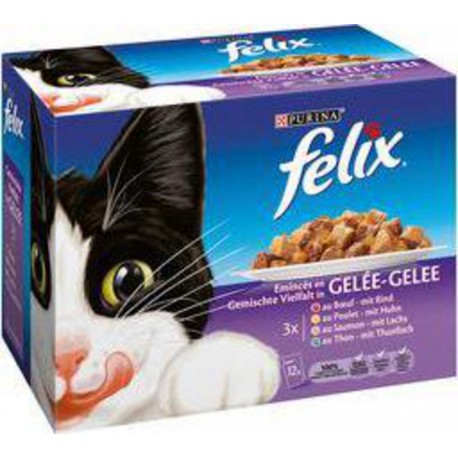 FELIX SACHET EMINCE 12X100G