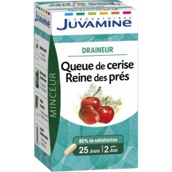 Juvamine Minceur Draineur Queue de Cerise Reine des Prés
